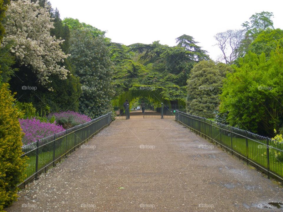 THE KENSINGTON GARDEN LONDON, ENGLAND