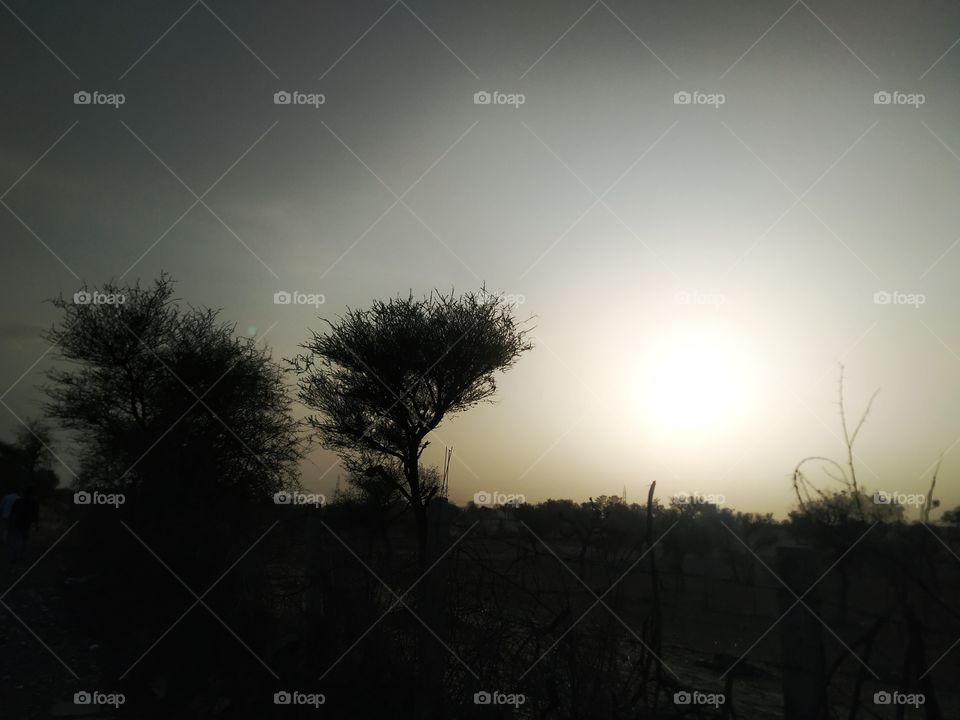 An evening in Rajasthan