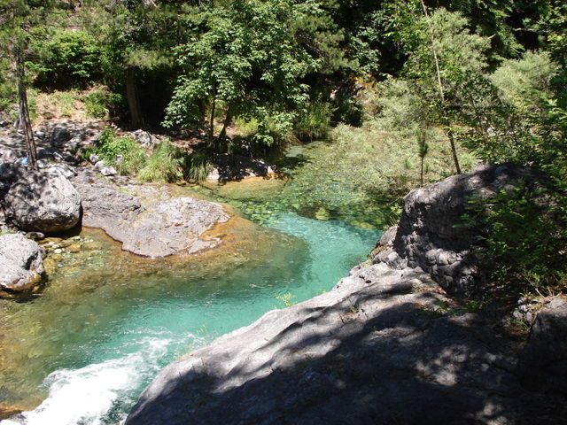 River in the woods