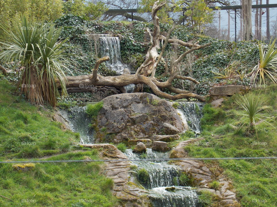 Habitat for the jaguars outdoors