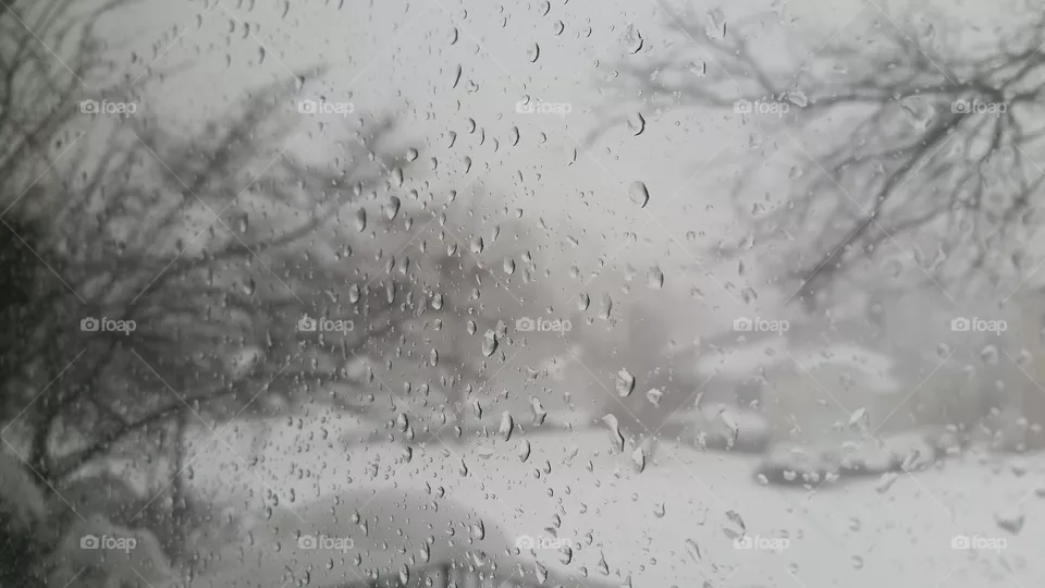Rain, Drop, Splash, Wet, Cold