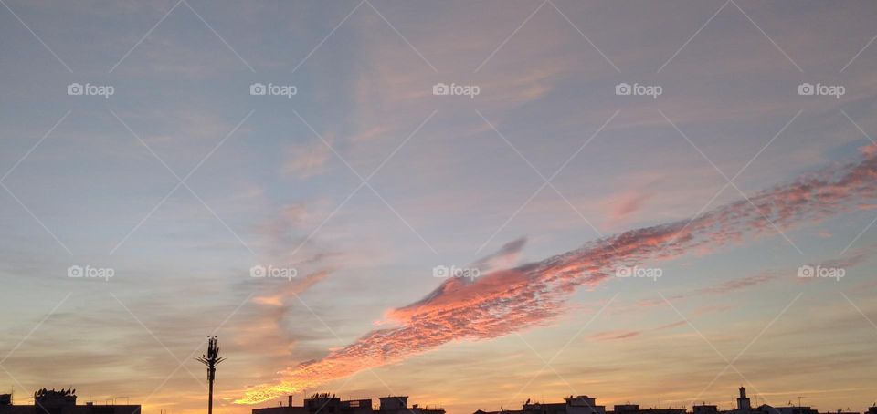 sunset_sun_palm_sky_houses