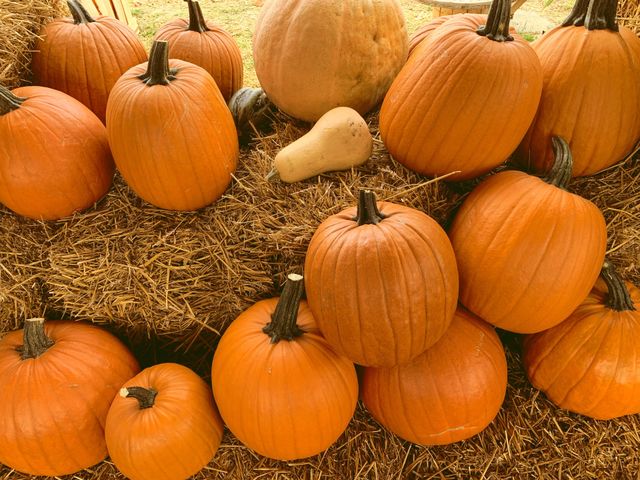 Pumpkins