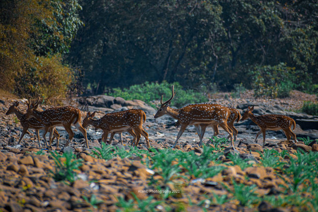 Wildlife Reserve