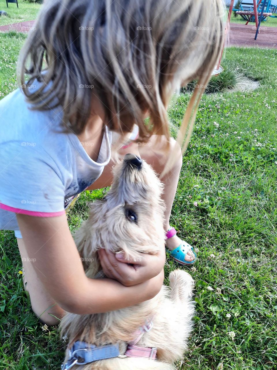 summertime  with a child and a dog