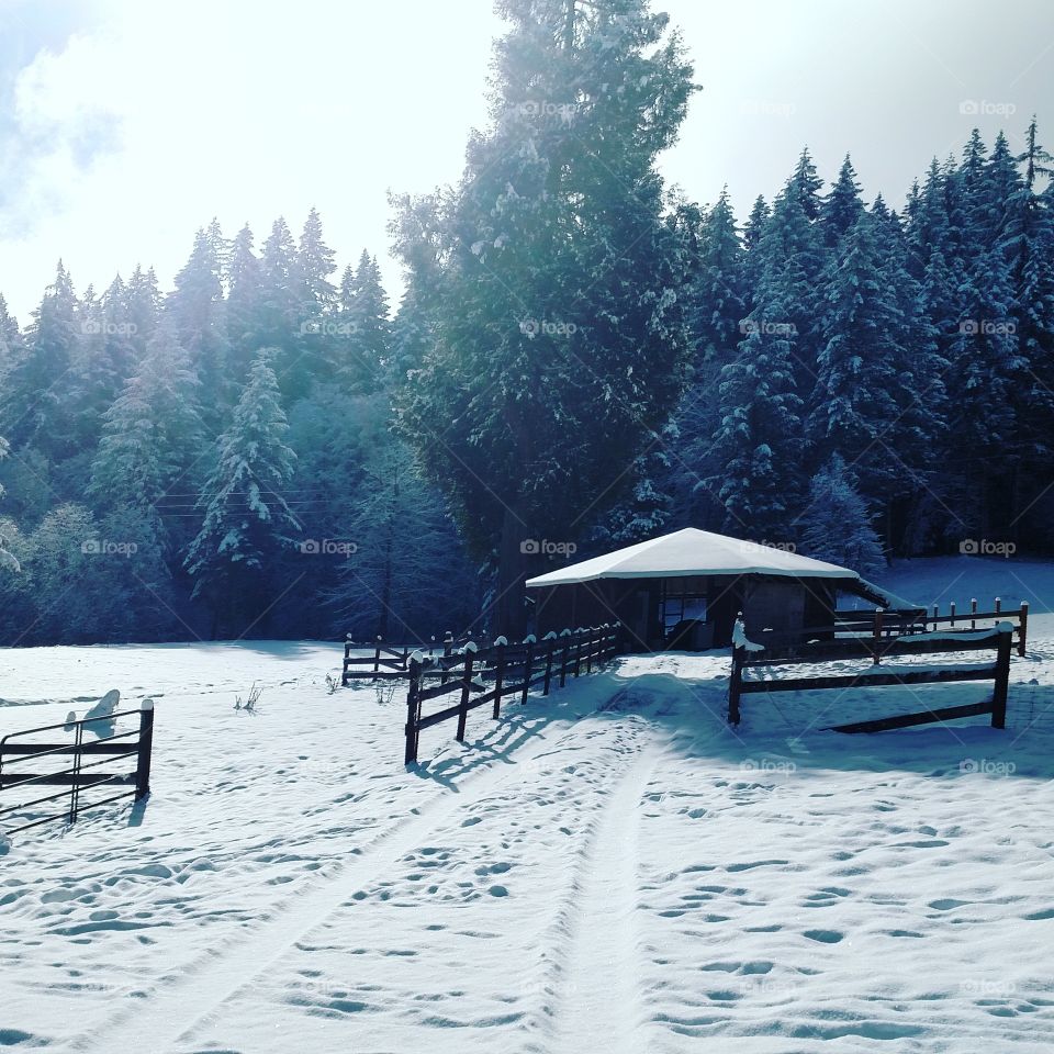 Oregon Winter