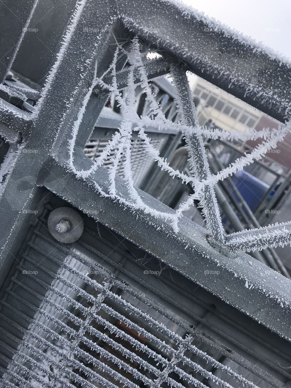 Frozen spider webs in winter. Very trippy. Very ‘cool’