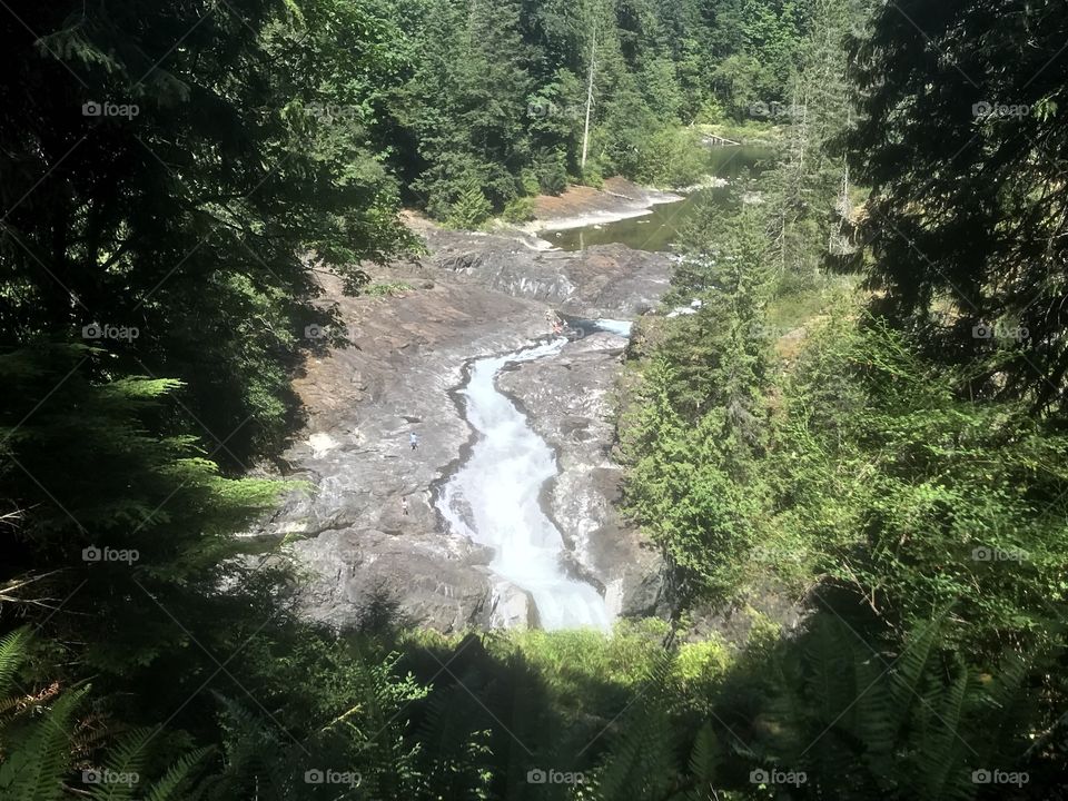 A beautiful hike today at Elk Falls, Campbell River, British Columbia.  A beautiful falls and old growth forest perfect for hiking or visiting as a tourist. Suspension bridge over the falls sways as people walk.