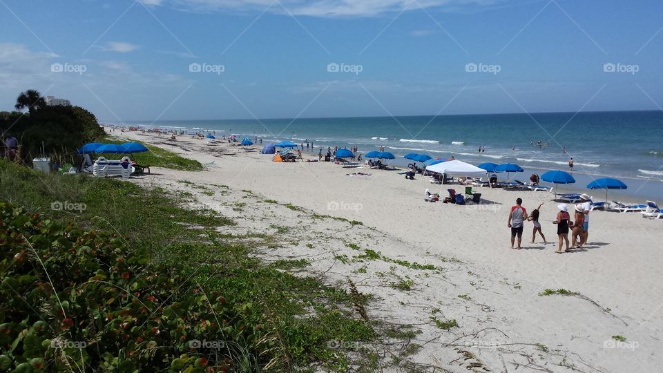 Florida's Palm Coast. taken near Satellite Beach