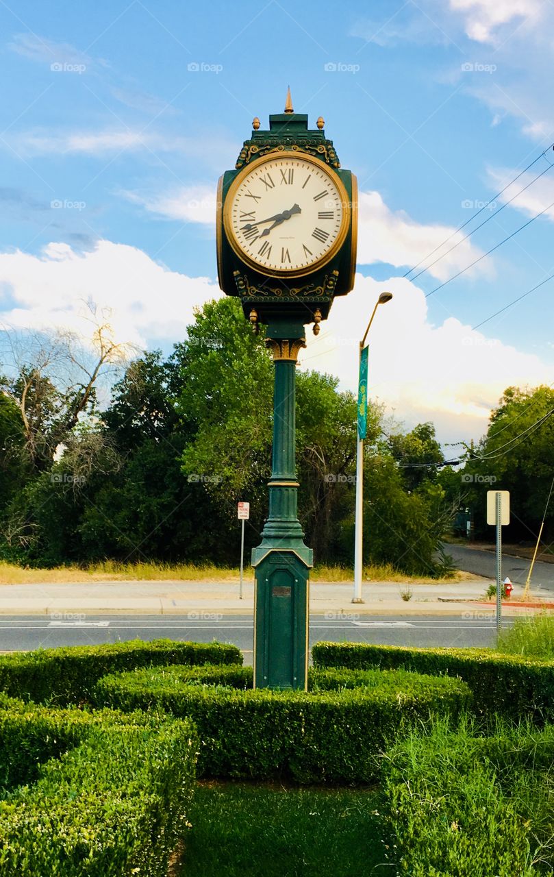 The antique clock standing in the middle of a shrub maze