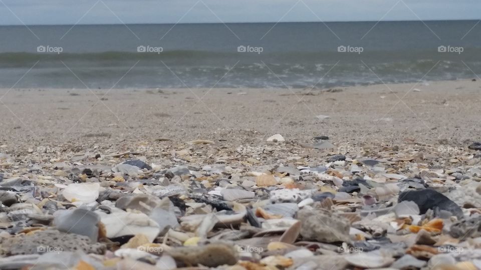 peace beach shells