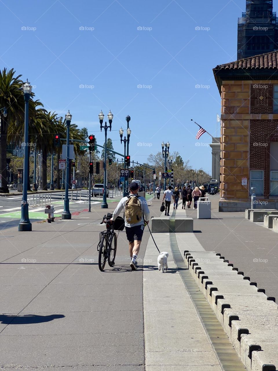 A dog always is a good friend in your life 