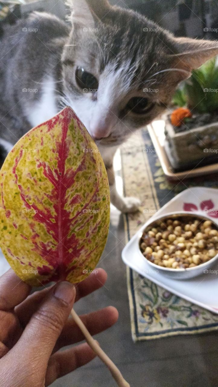 wonderful combination of nature( food, oxygen, human) . three in one frame