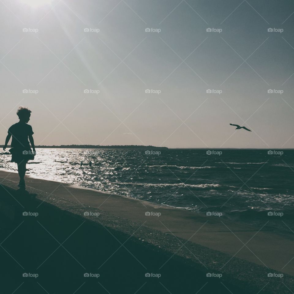 Girl on wall with bird at sea