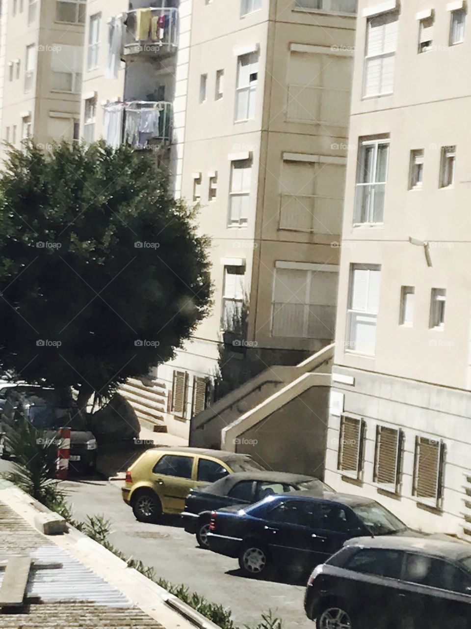 Estate-buildings-road-trees