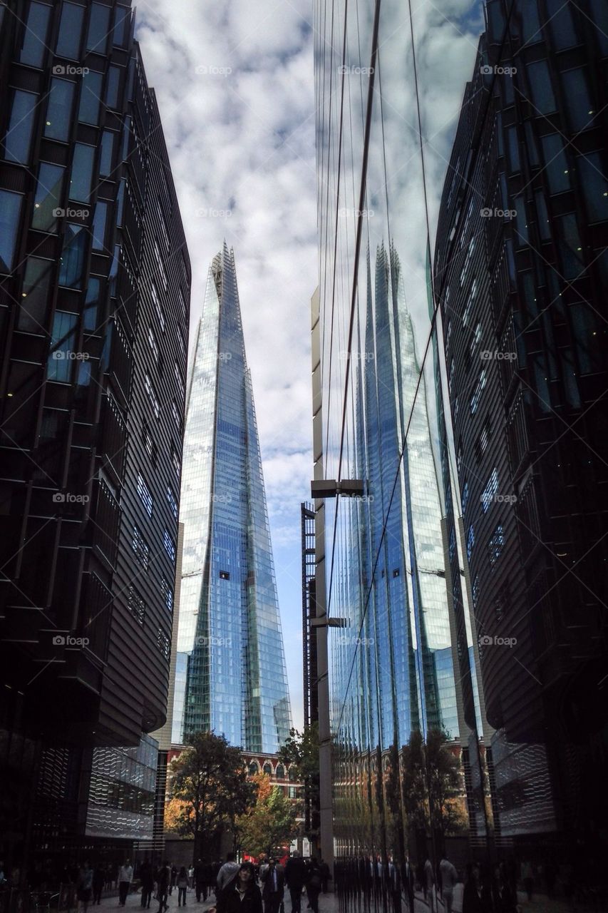 The shard