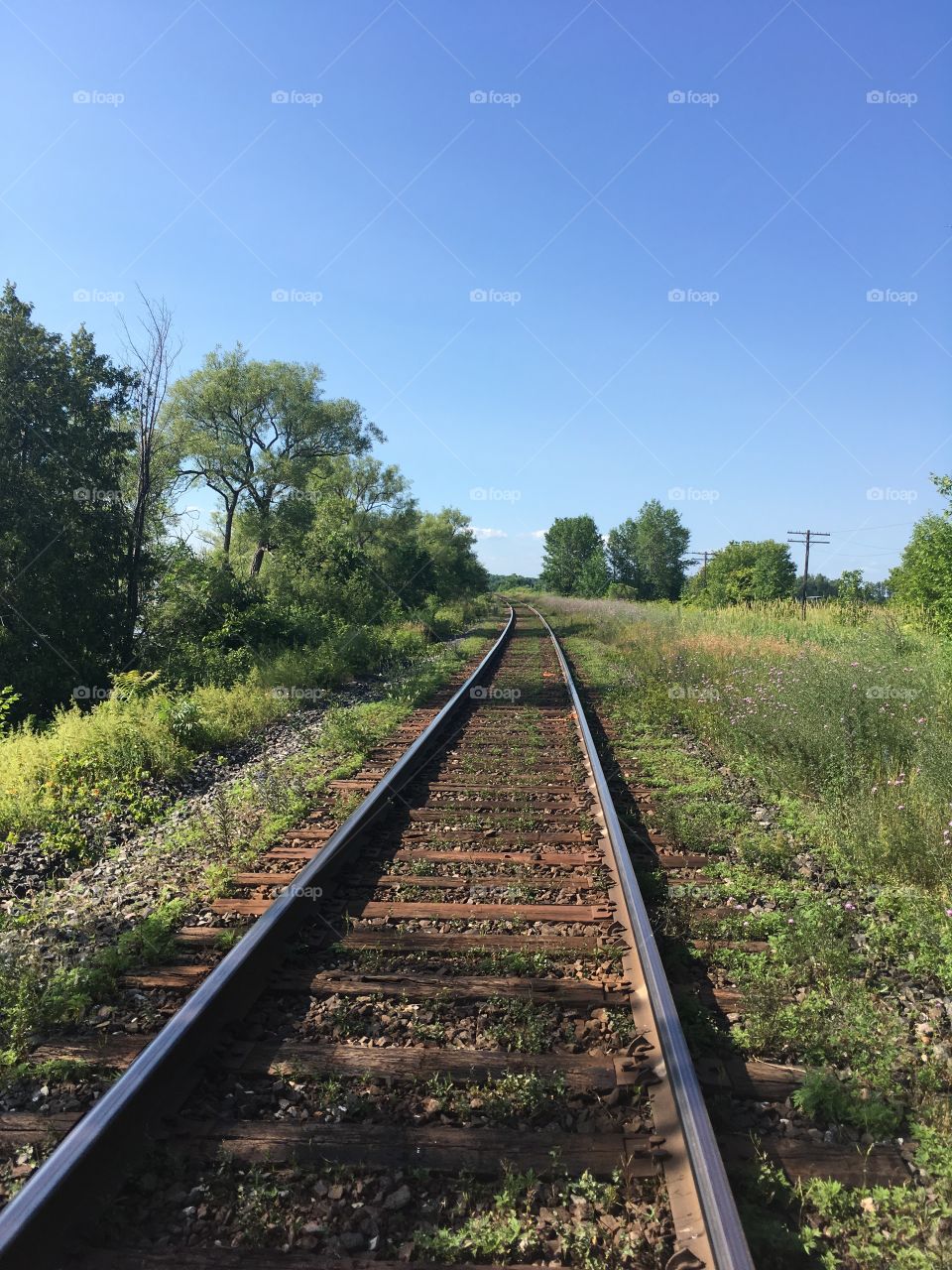 Railroad across the countryside 