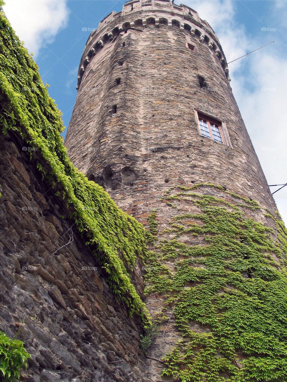 Ivy tower
