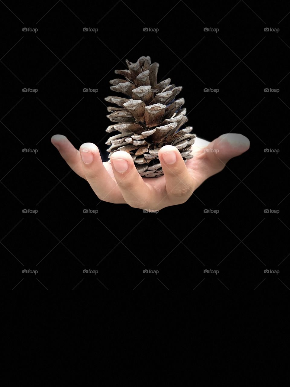 Pine hand