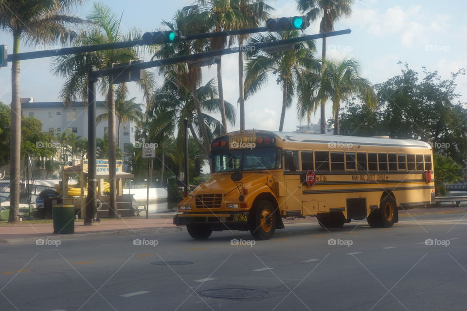 Typical American School Bus