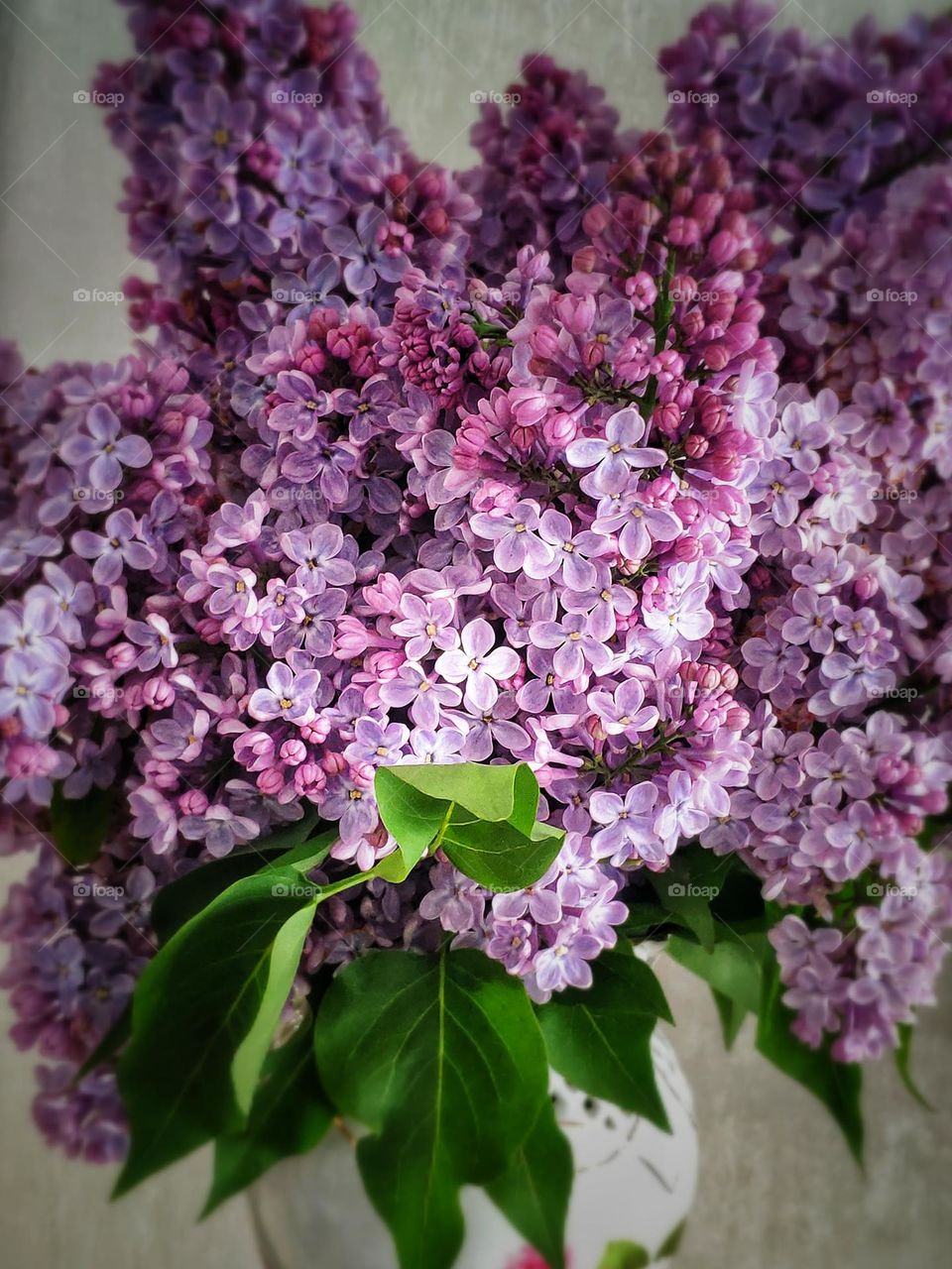 A spring bouquet of lilacs