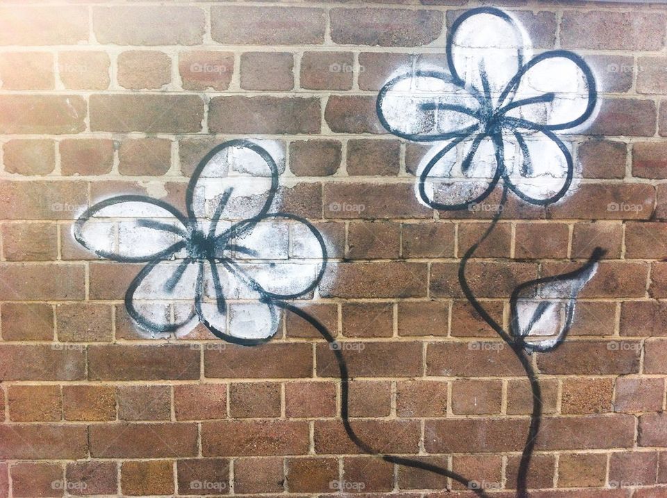 Wall Flowers