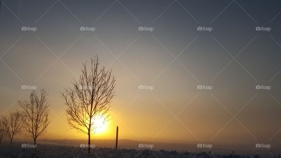 Winter sunrise in Park City, UT
