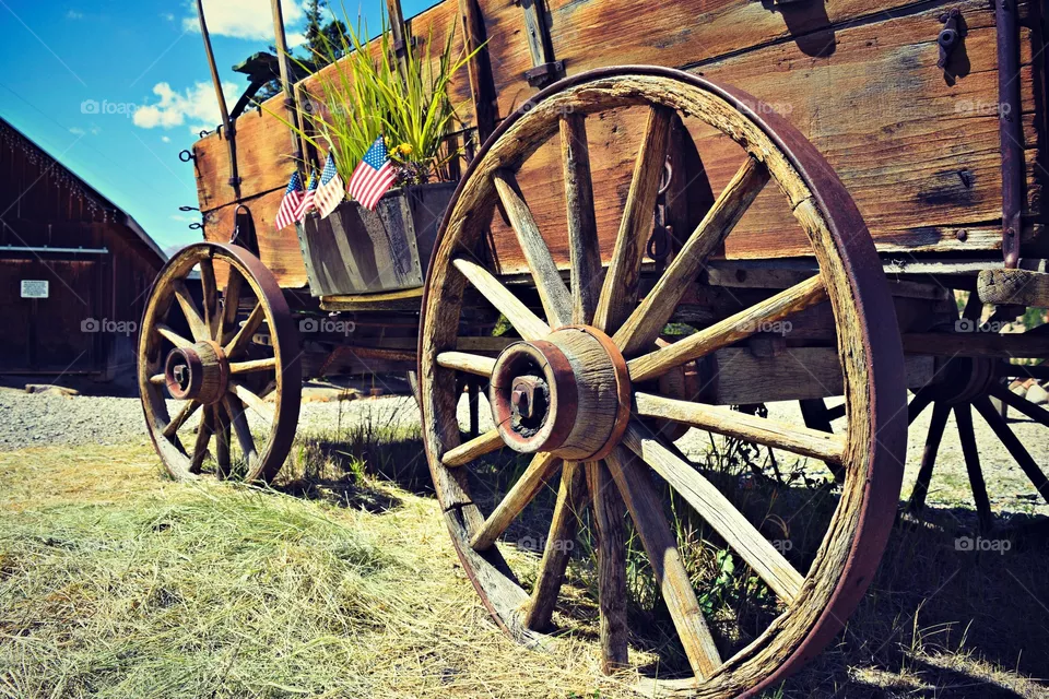 Wheel 