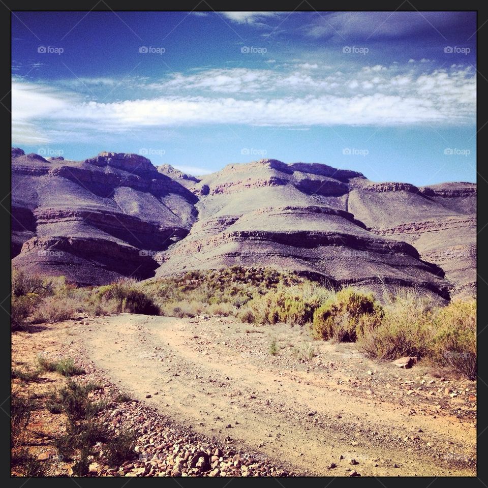 Road to the mountains