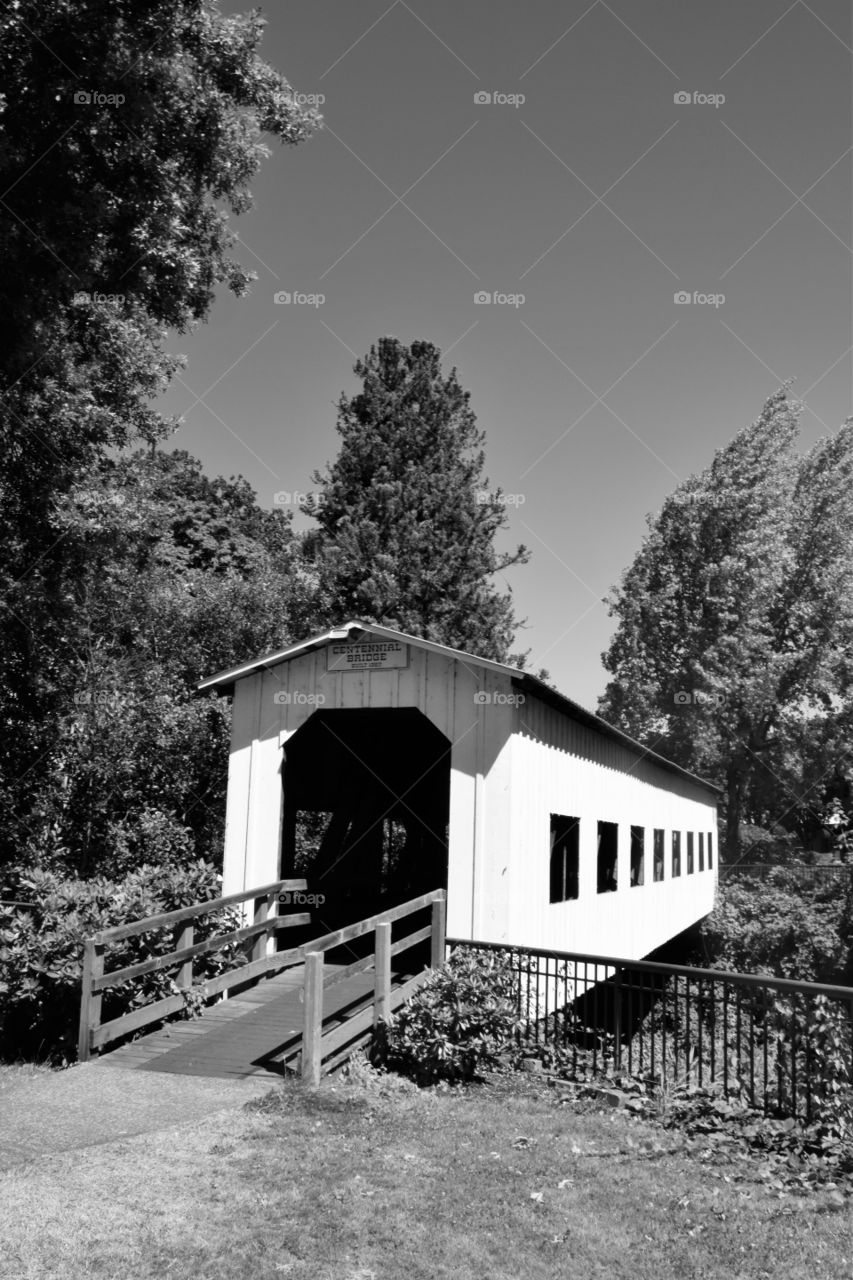 Covered Bridge B&W