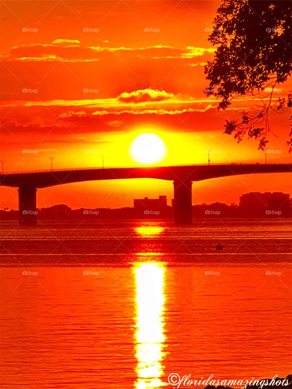 Sarasota Florida sunset