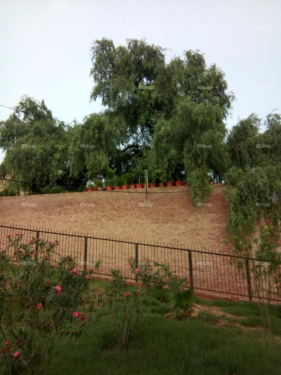 an ancient fort of Bathinda city- a monument protected by Govt Of India- inner part