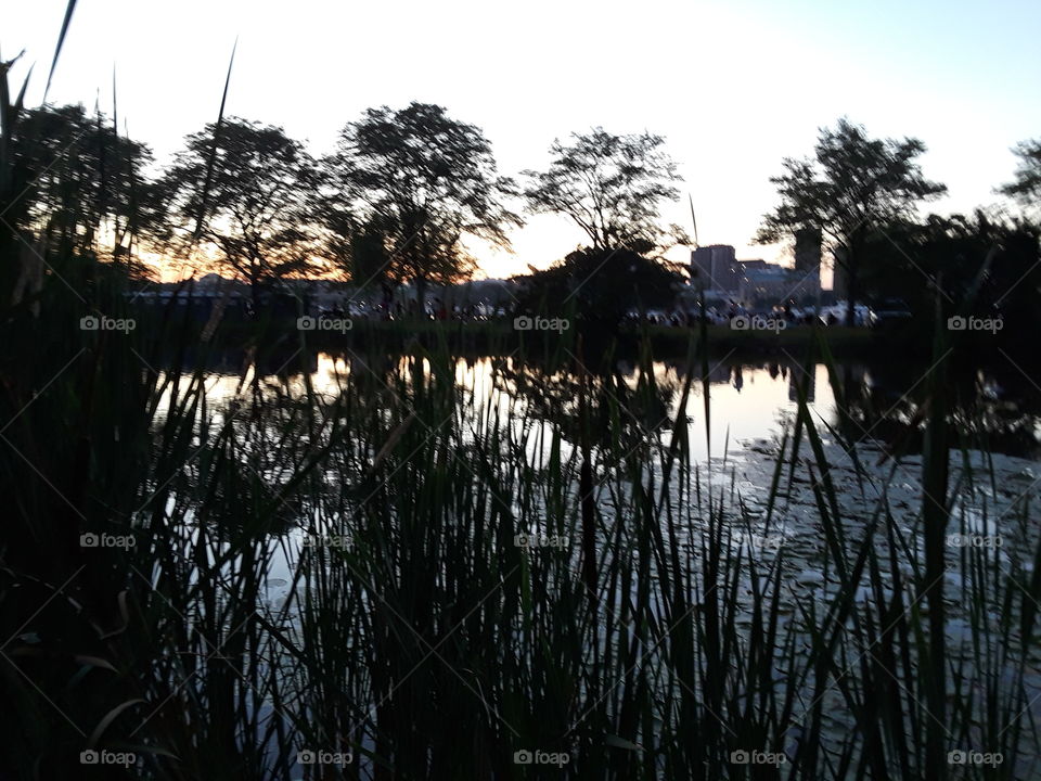 Sunset at the Esplanada Charles River Boston MA