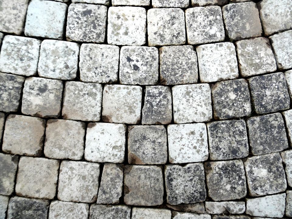 floor bricks in penlee park