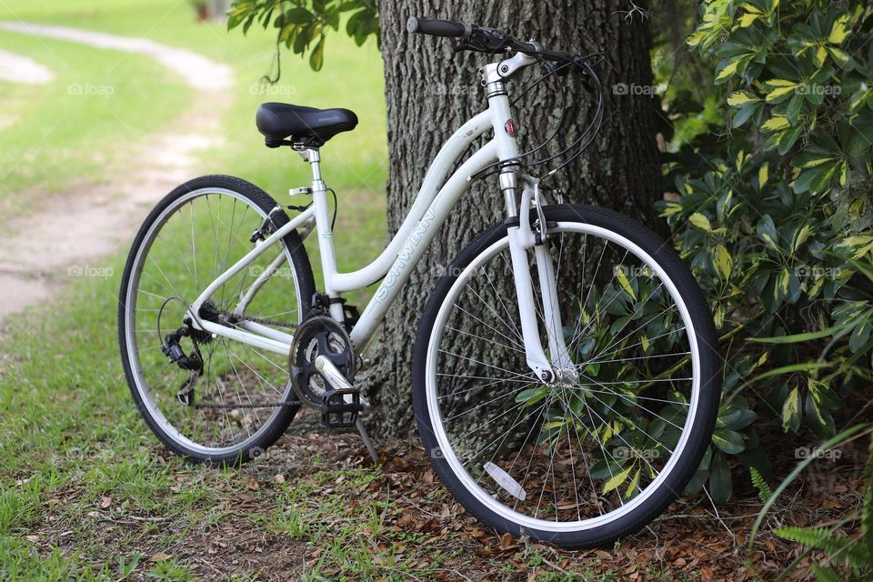 Picturesque white bicycle leaning on oak tree trunk road in background waiting for good times to come