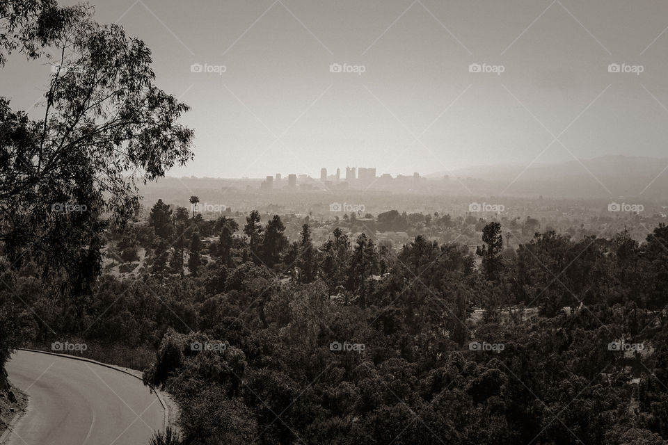 City behind the trees 