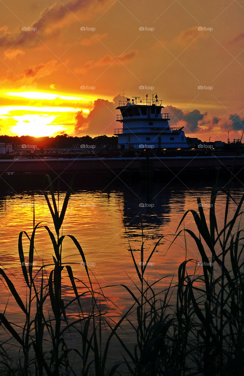 There is nothing as diverse as nature itself. It is a beautiful place; and it is everywhere. I am a haunter of nature who loves its beauty and solitude. Take a deep breath, relax, open your eyes, and enjoy the ride through my beautiful world of nature!