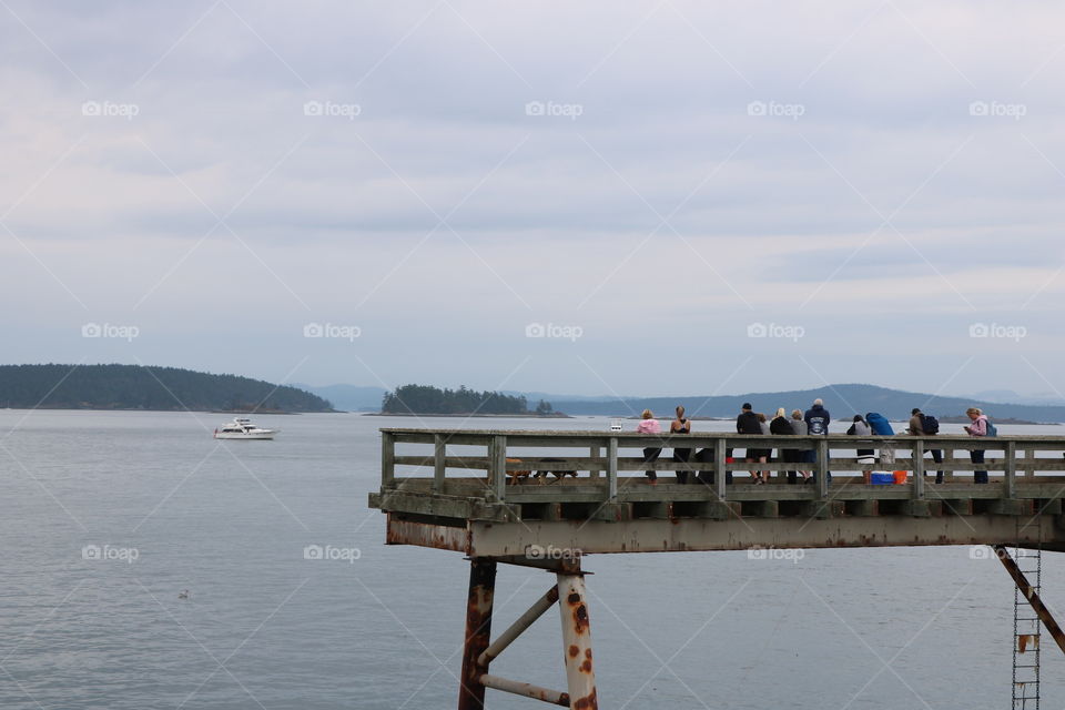 People gathered on a dock to watch orcas passing by