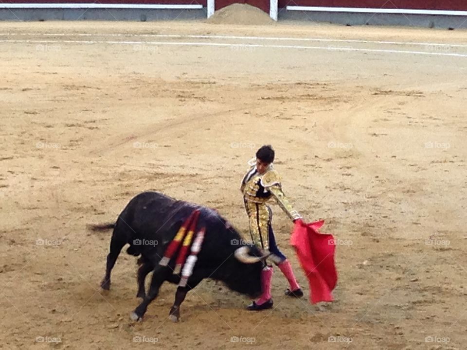 Bullring, Bullfighter, Bull, Courage, Cape