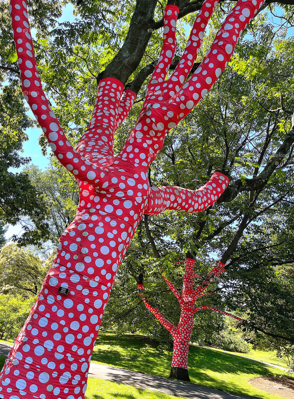 Kusama tree at the New York Botanical Garden 