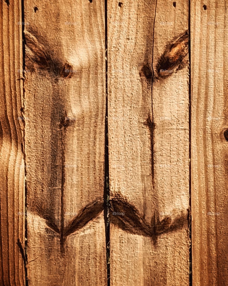 Wooden knots form face on fence