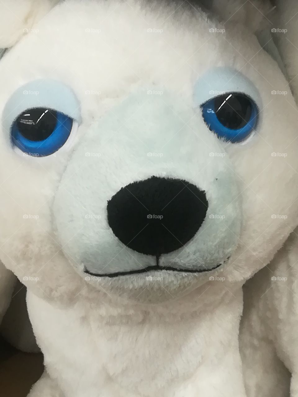 Eisbär Teddy blaue Augen