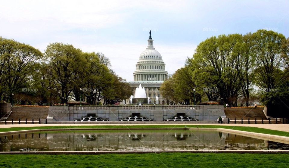 The Capitol in the spring...