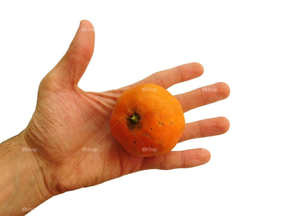 tangerines in hand