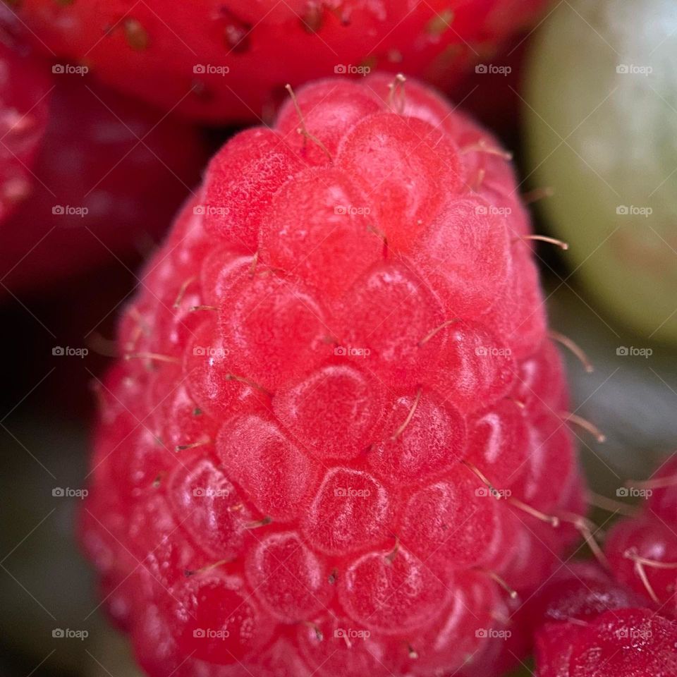 Fresh raspberry