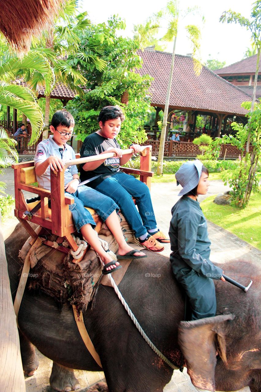 The girl who conquered the elephant. Tourist group of children riding an elephant at the bali zoo, elephant body seats for visitors on a safari to the bali zoo being ridden by a teenager.