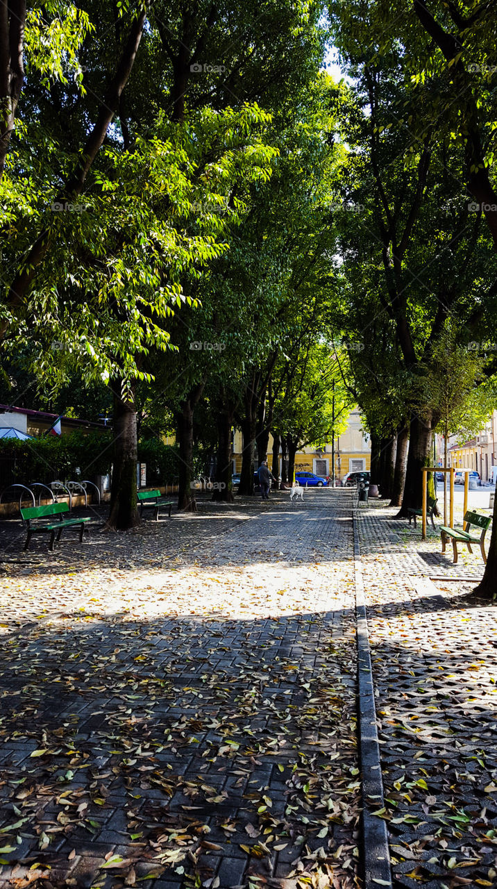 Park in Turin in Italy
