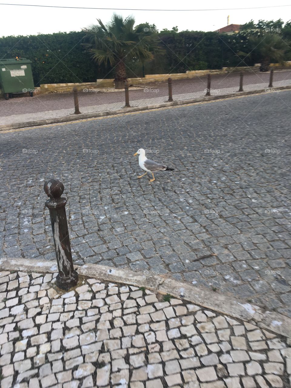 Pavement, Road, No Person, Street, Water