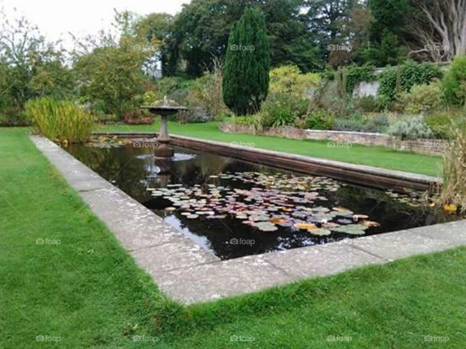 Garden Pond