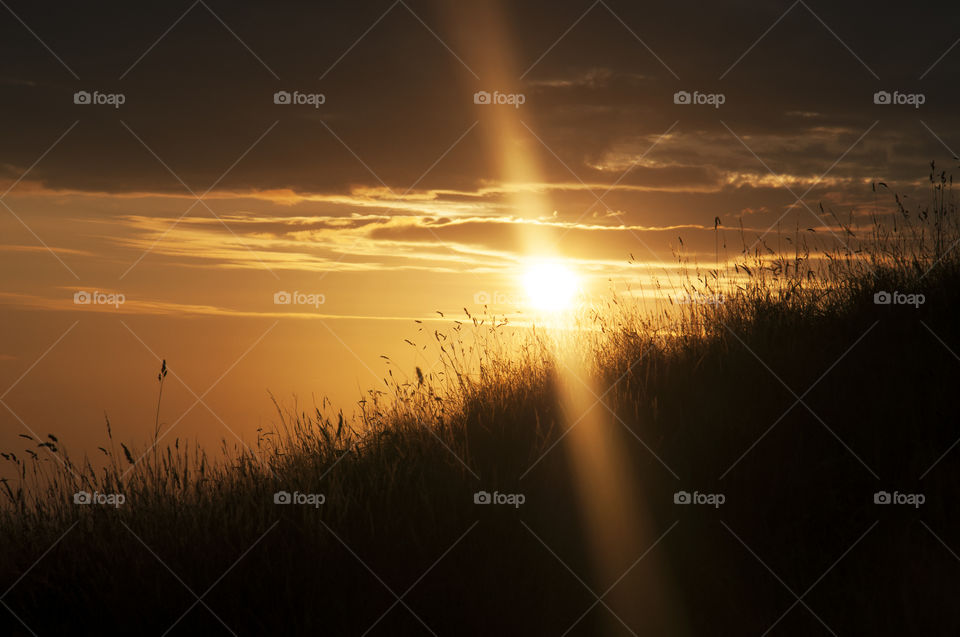 sun light during the sunset